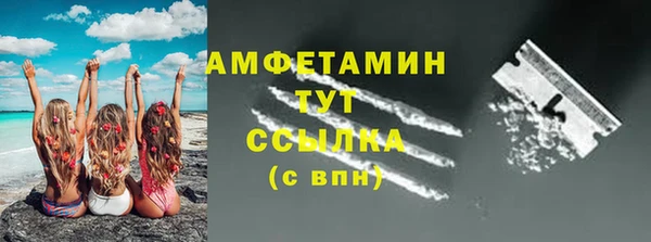гидра Осинники