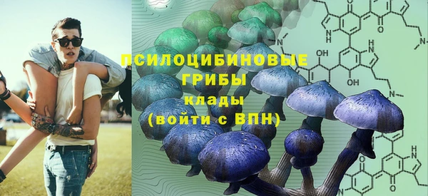 гидра Осинники